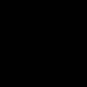 Meet your Posher, Xiomara